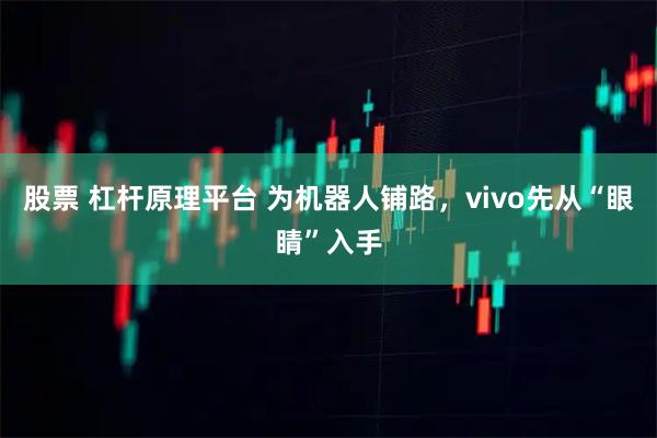 股票 杠杆原理平台 为机器人铺路,vivo先从“眼睛”入手